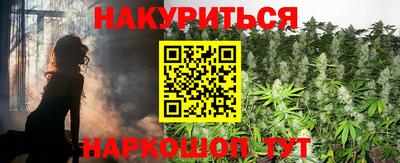 прущие грибы Будённовск