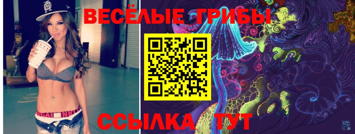 Псилоцибиновые грибы Cubensis  Галлюциногенные грибы MAGIC MUSHROOMS  Канск  Вход с VPN 